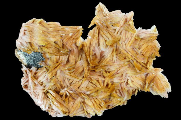 Pink and Orange Bladed Barite - Mibladen, Morocco #103732
